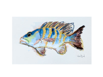 Charlie's Catch Original Paintings - Framed - Beau Outfitters