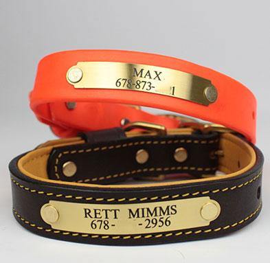 Water Dog Collar - Olive